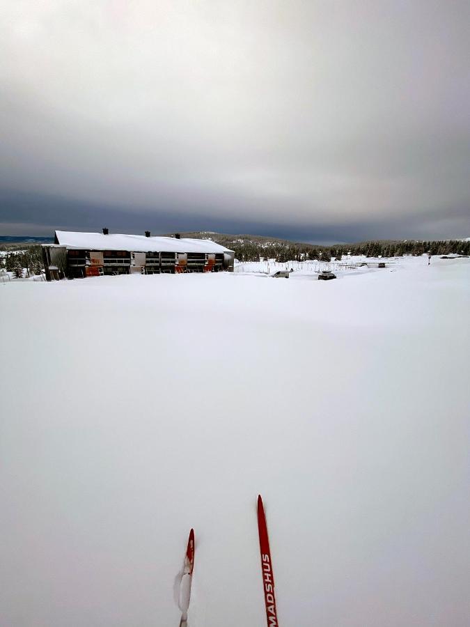 Lys Og Moderne Leilighet Rett Ved Skiloypa Pa Nordseter - Kort Vei Til Sjusjoen, Lillehammer Og Hafjell - Dyr Ikke Tillatt Buitenkant foto