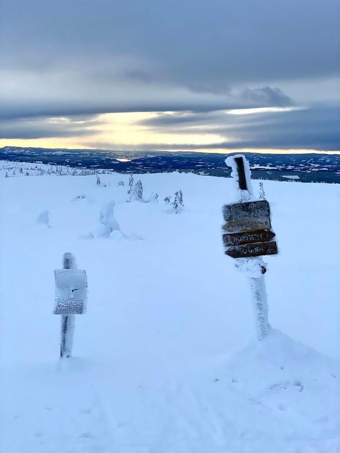 Lys Og Moderne Leilighet Rett Ved Skiloypa Pa Nordseter - Kort Vei Til Sjusjoen, Lillehammer Og Hafjell - Dyr Ikke Tillatt Buitenkant foto